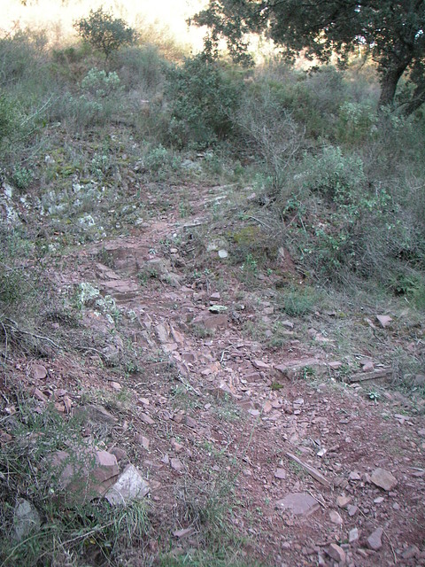 mtb olocau 070 mtb olocau 070