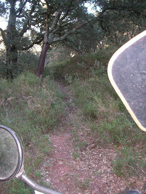 mtb olocau 073 mtb olocau 073