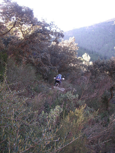 mtb olocau 076 mtb olocau 076