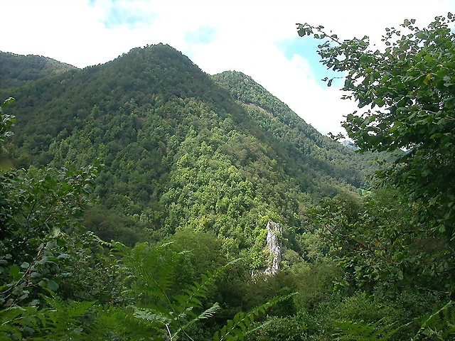 DSCN4305 DSCN4305