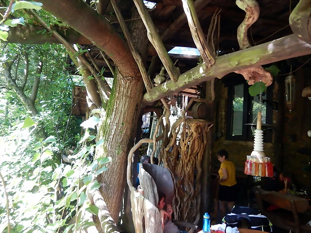 DSCN0135 DSCN0135