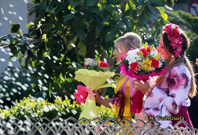 20, ofrenda de flores, marca