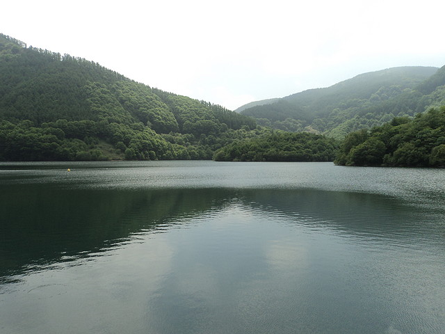 DSC00088 DSC00088