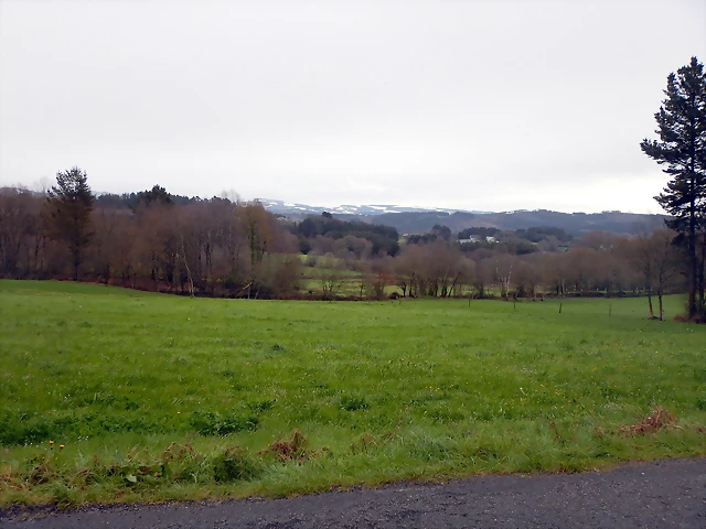 DSCN2975 DSCN2975