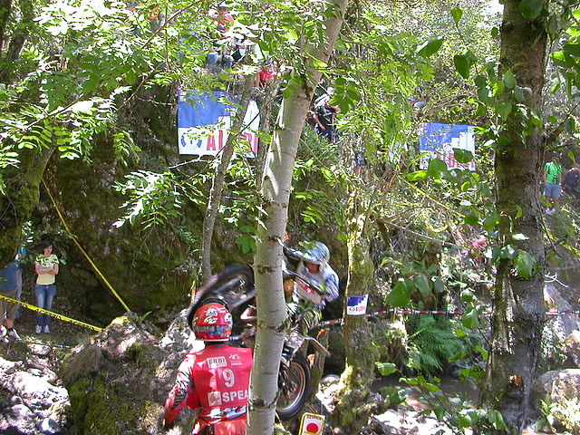 DSCN2643 DSCN2643