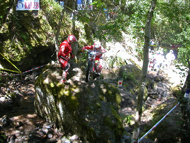 DSCN2597 DSCN2597