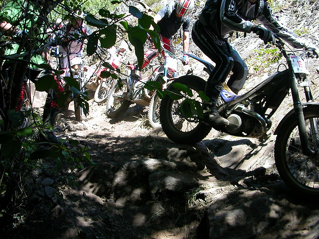 DSCN2598 DSCN2598