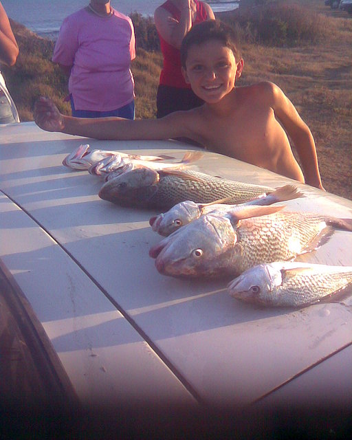 pesca en mar del plata