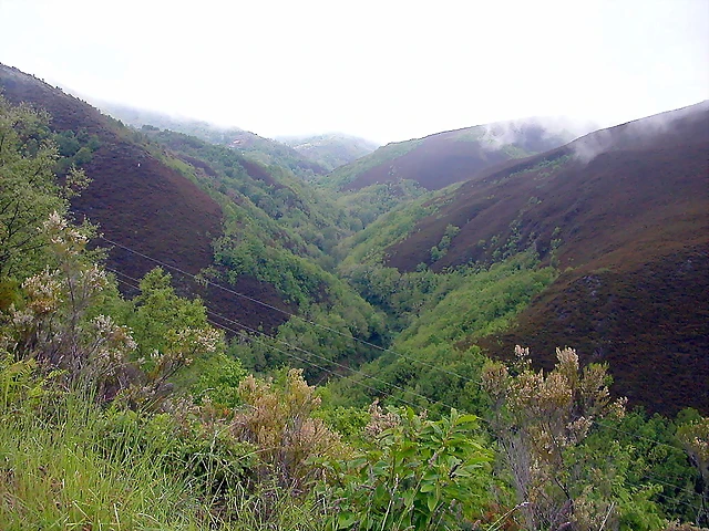 DSCN3398 DSCN3398