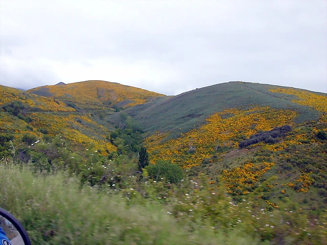 DSCN3172 DSCN3172