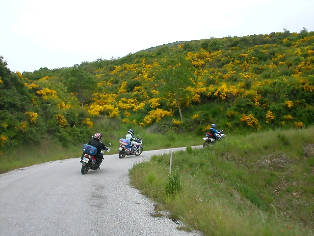 DSCN3177 DSCN3177