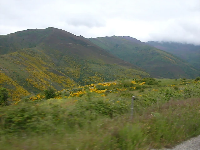 DSCN3180 DSCN3180