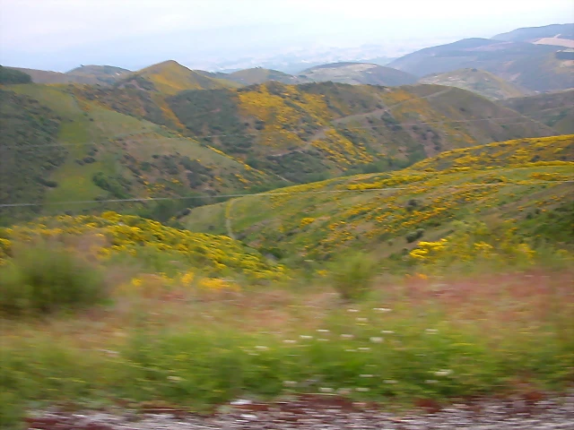 DSCN3185 DSCN3185