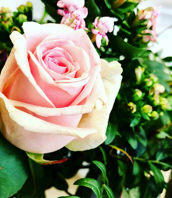 Mar?a IG 13-4-2018 (2) Mar?a IG 13-4-2018 (2)