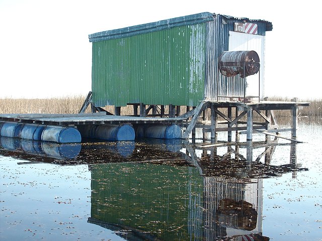 la casilla de pablo