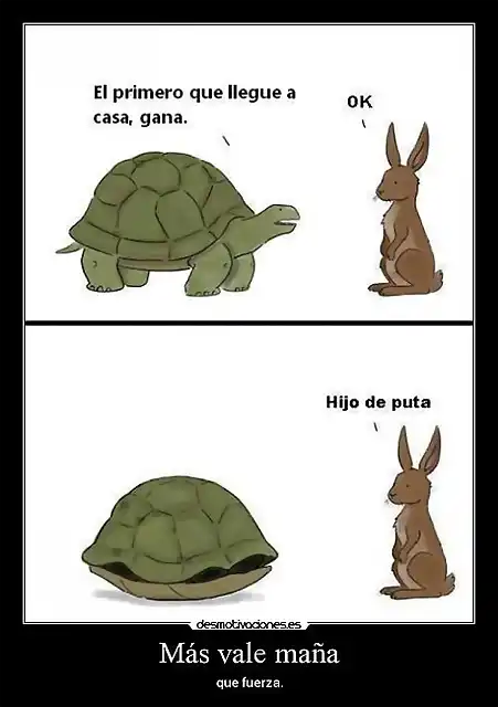 Tortugamas_1