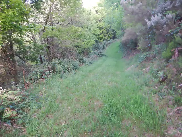 DSCN2087 DSCN2087