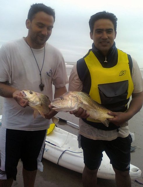 corvina en playa serena