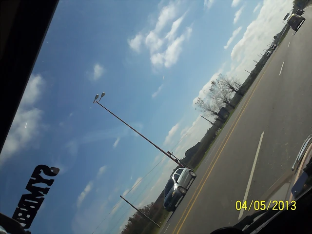 100_5242 100_5242