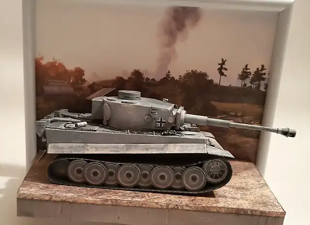 Tiger 1 (38)