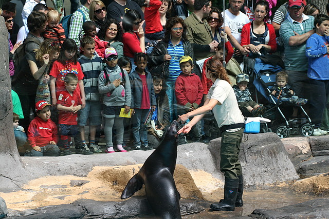 Zoo de Barcelona 23-04-11 069