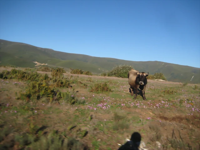IMG_0843 IMG_0843