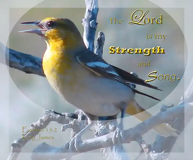 strength_and_song