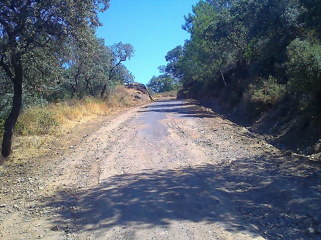 Foto0275 Foto0275