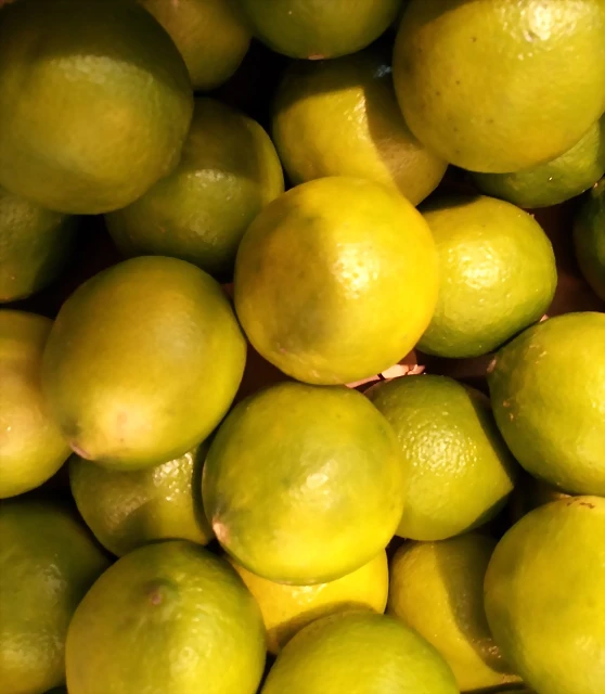 Limas II Limas II