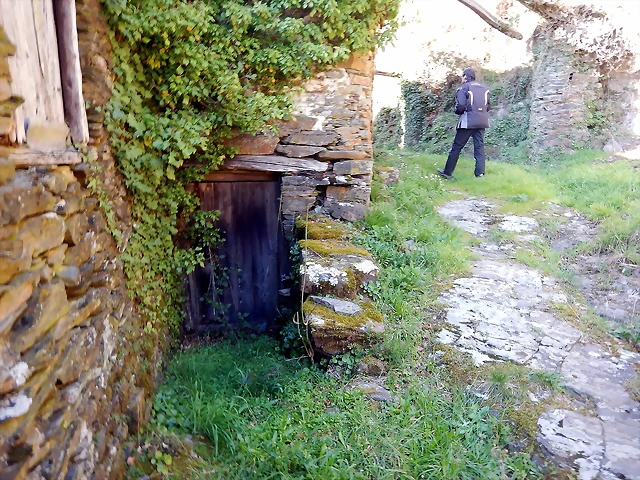 DSCN3894 DSCN3894