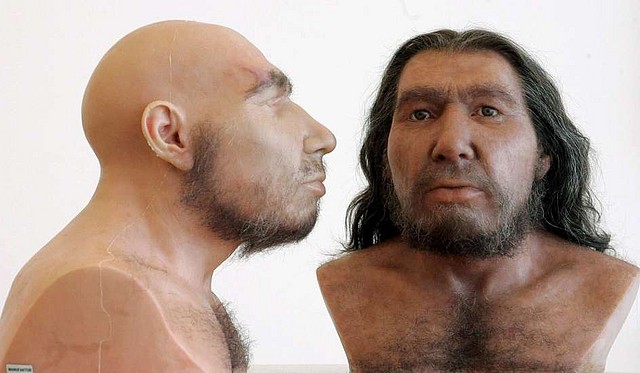 Neandertales Neandertales