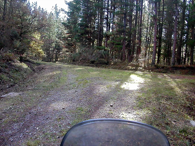 DSCN6426 DSCN6426