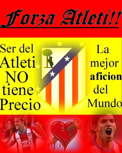 forza atleti