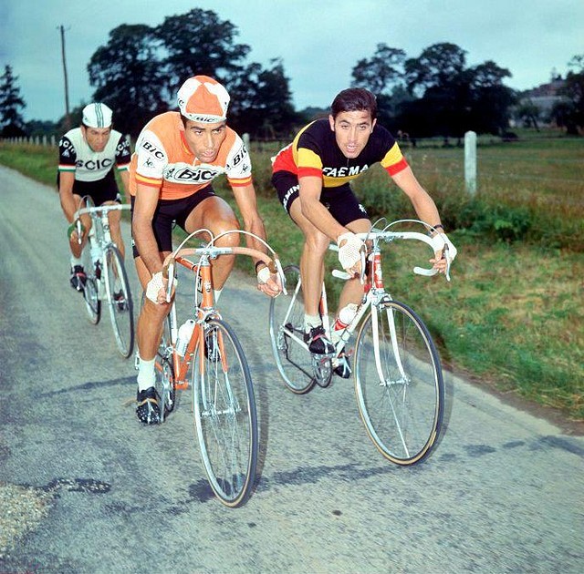 OCAA-MERCKX-ADORNI-1970.