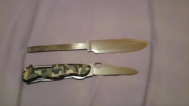 Bowie convexo2 Bowie convexo2