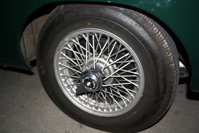 IMG_5664 IMG_5664