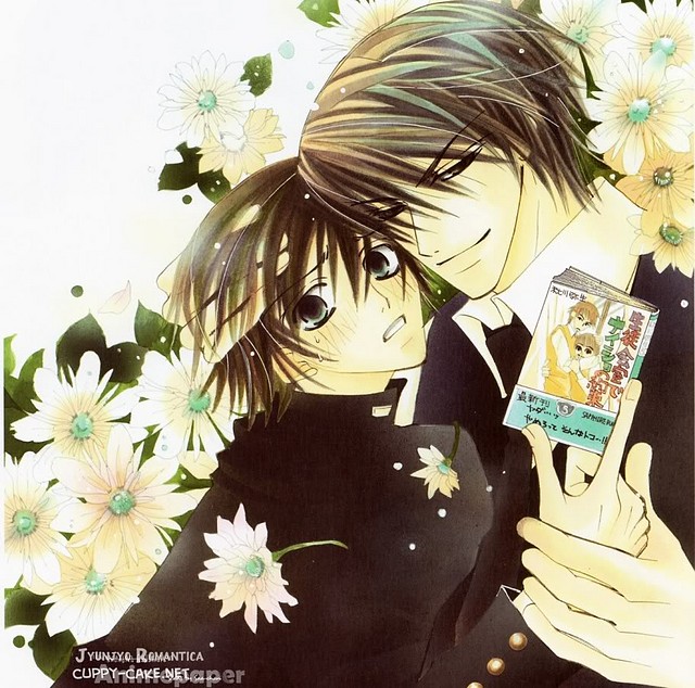 Junjou romantica!!