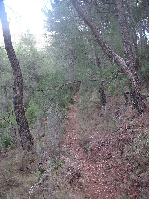 sendas olocau 029