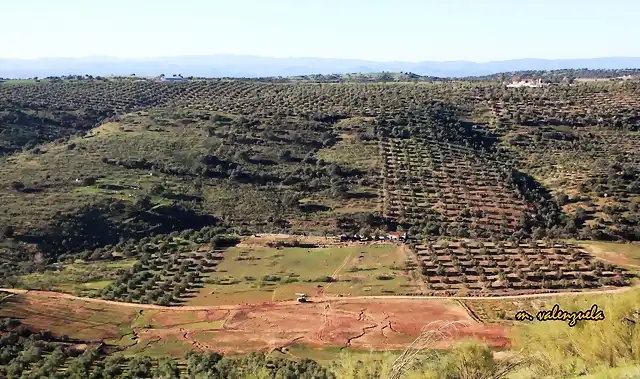 loma del pino desde la atalaya, marca