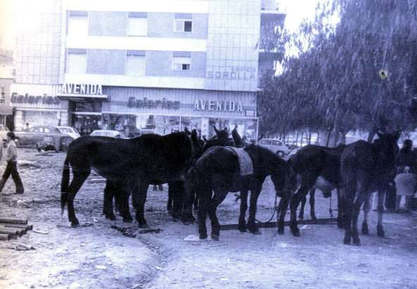 Alzira Av. Santos Patronos Valencia 1972