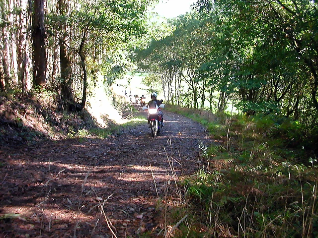 DSCN5485 DSCN5485