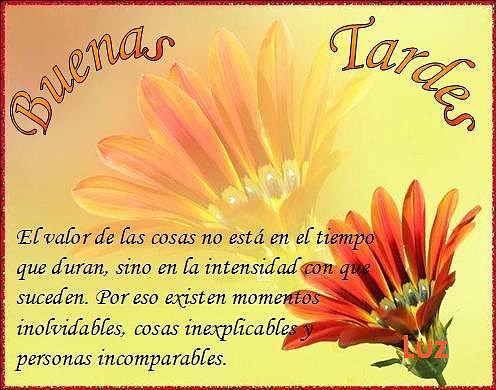 buenas-tardes2