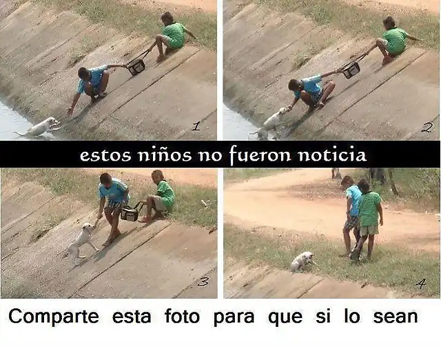 Salvamento de un perro-Valientes!!!