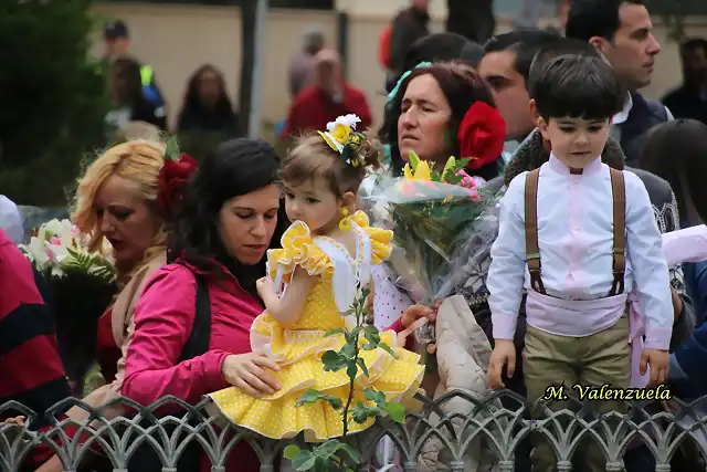 0frenda flores 8, marca