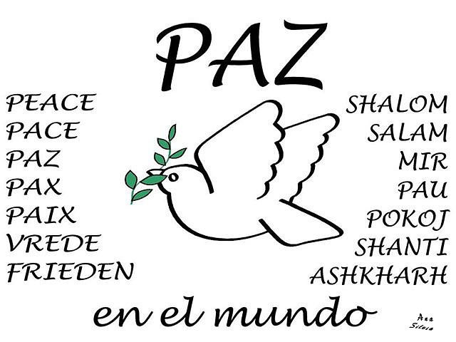 Paz Bandera_1