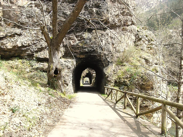 R0012386 R0012386
