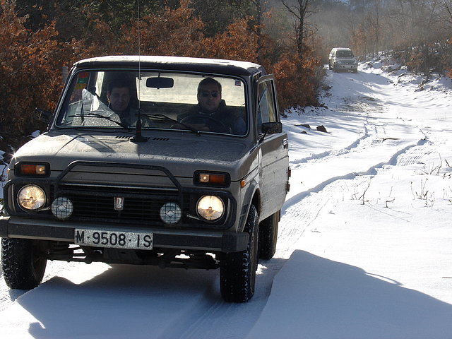 LADILLA EN LA NIEVE