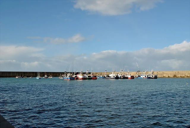 DSC_0544 DSC_0544
