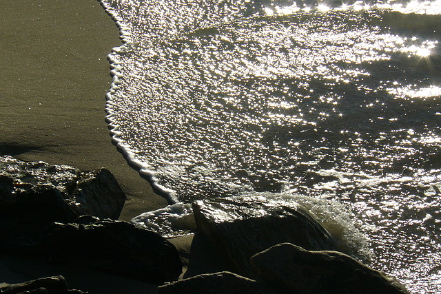 En marin, enero 2012 084