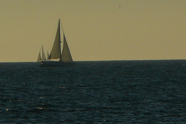 En marin, enero 2012 189